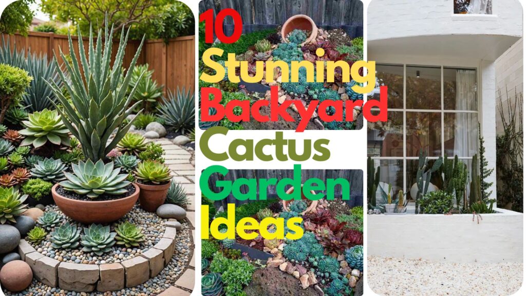 backyard cactus garden ideas