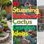 backyard cactus garden ideas