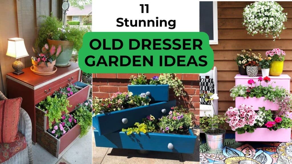 11 Stunning Old Dresser Garden Ideas for Your Outdoor Space