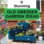 11 Stunning Old Dresser Garden Ideas for Your Outdoor Space